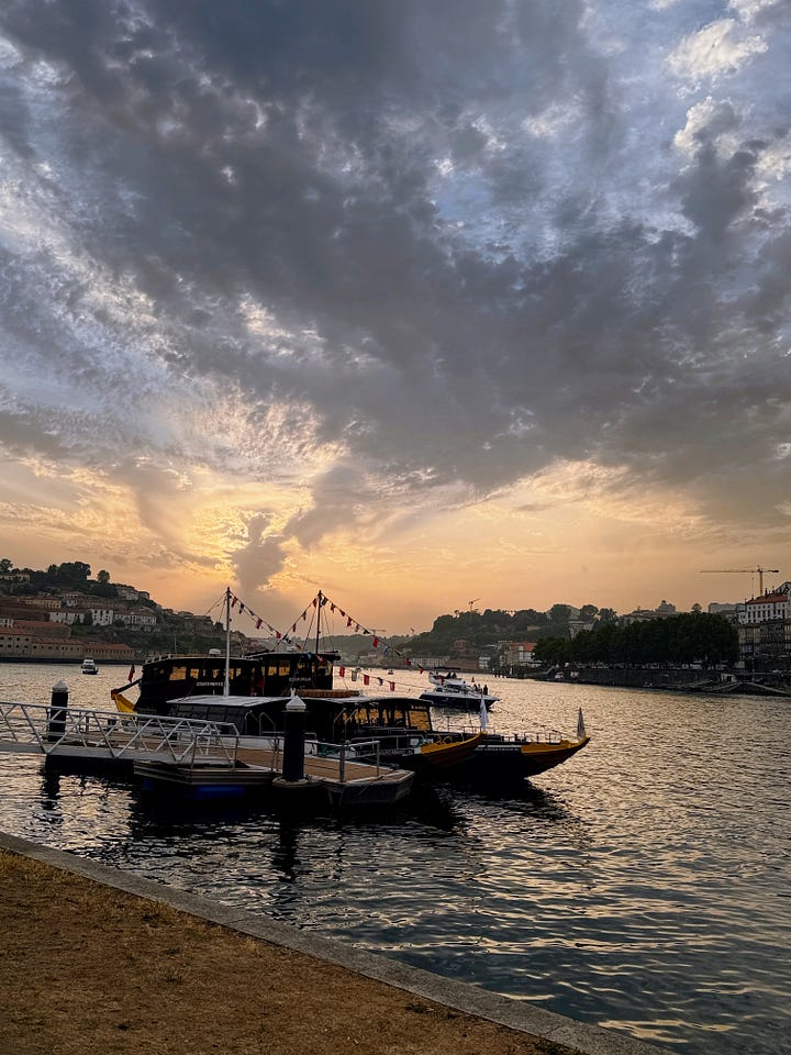 Half Rabbit street art by Bordalo II & Sunset at the Gaia River Front
