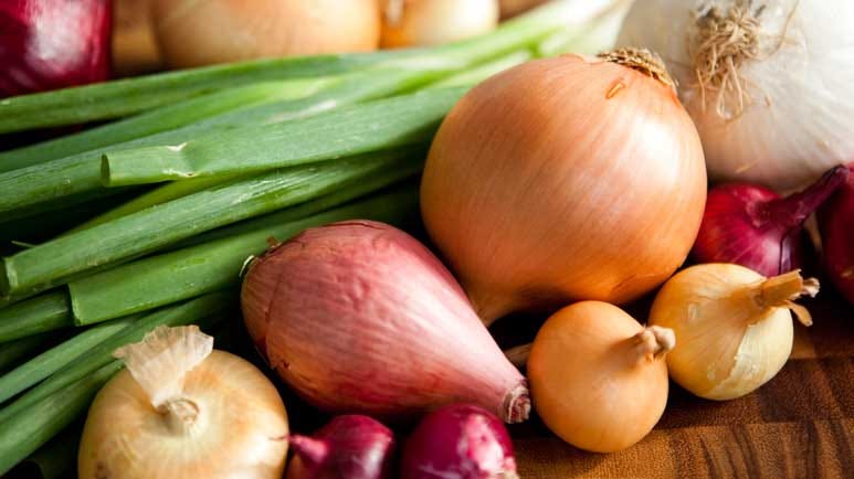 quercetin an alternative to hydroxychloroquine