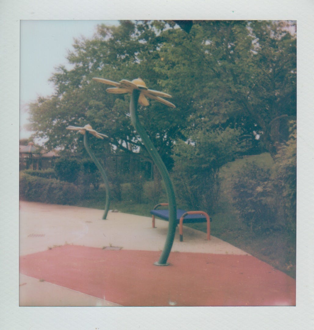 Polaroid of giant spray park flowers at Vanucci Playground.