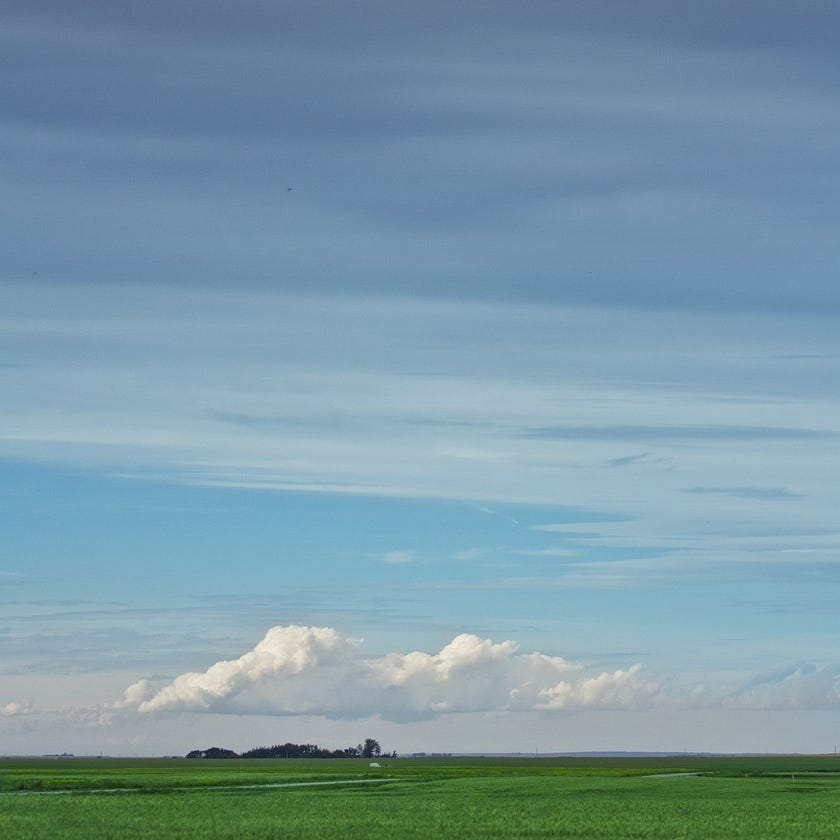 Lawrence Solomon Uncensored