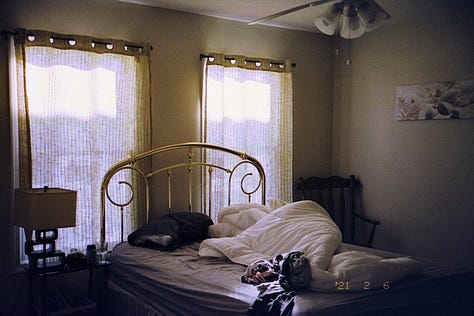 top row, left to right: nat lies face down in bed without a shirt on; their overgrown undercut is visible. a white liquid dissipates in green water under a dock. a bouquet of dried hydrangeas hang on a closet door. bottom row: the sun rises over a bedroom in cape may, nj. on blue film stock, nat floats in the lake and eats a peach. a pink bmw convertible is parked outside ike’s auto shop.