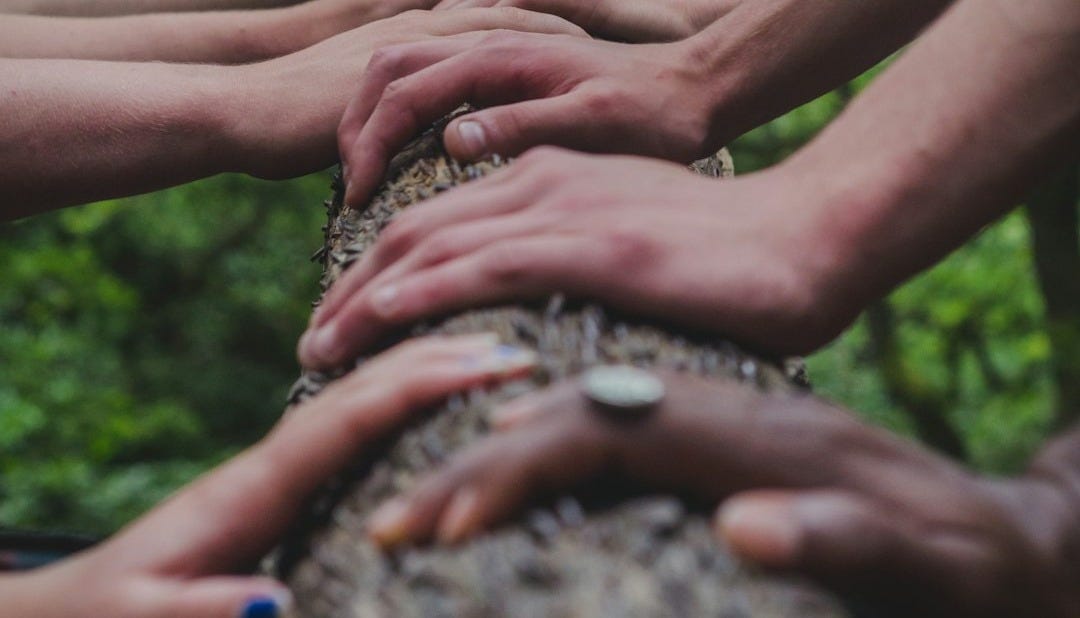 a group of people holding hands on top of a tree a group of people holding hands on top of a tree