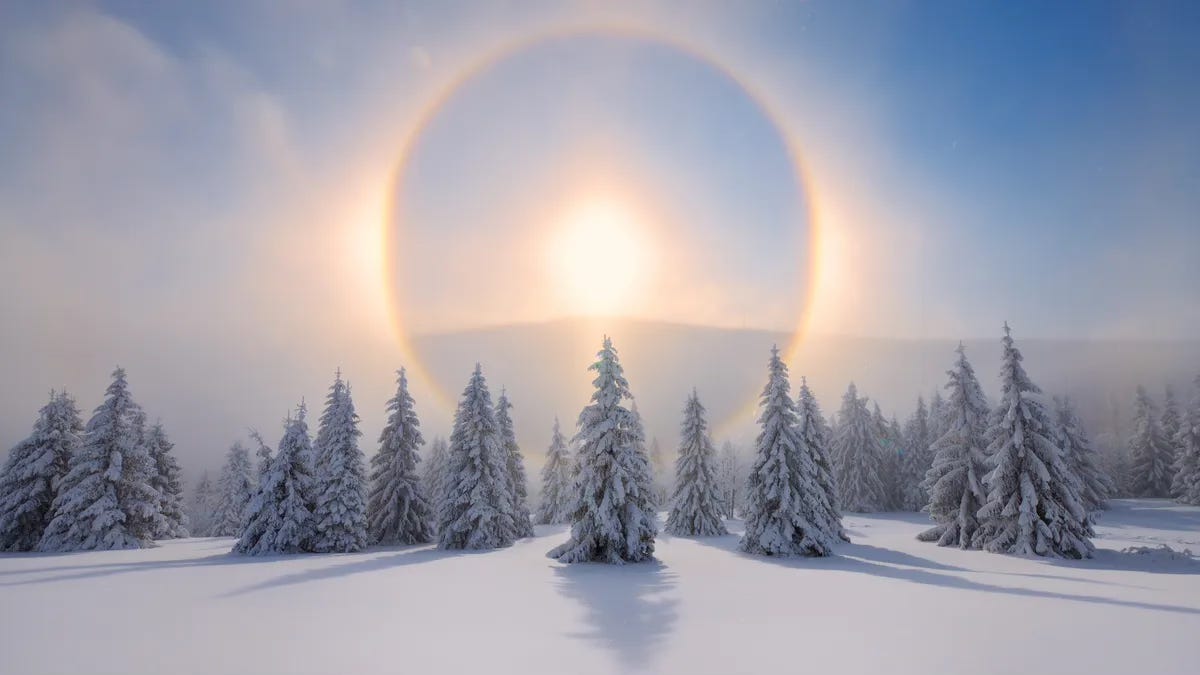 Pausing for Winter Solstice