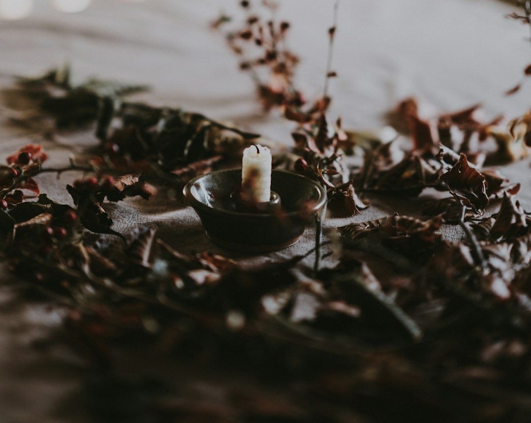 candle on saucer surrounded by dried leaves