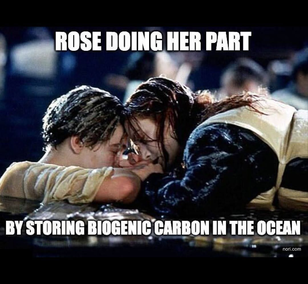 Titanic still of Jack and Rose on the floating door in the dark water. Top: "Rose doing her part". Bottom: "by storing biogenic carbon in the ocean".