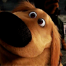 Special Editions ~ Henry the Dog