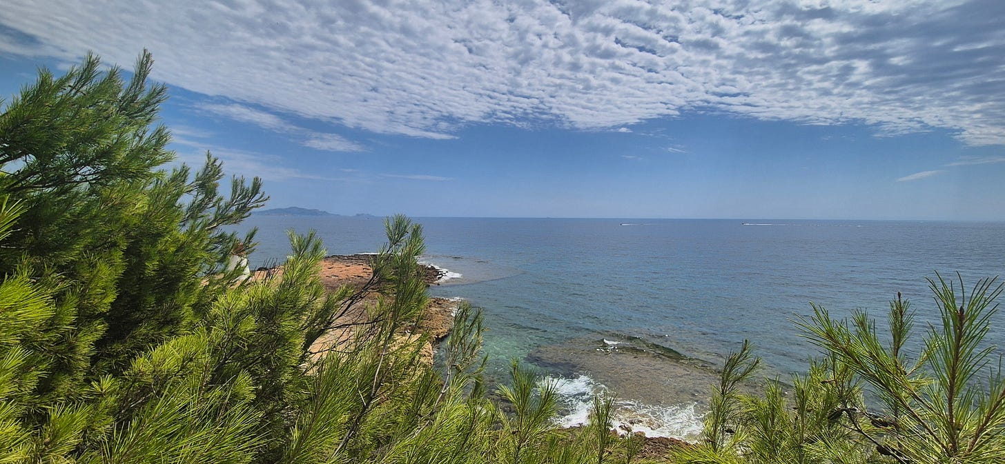 Panorama de la mer entre les pins, sous un ciel nuageux