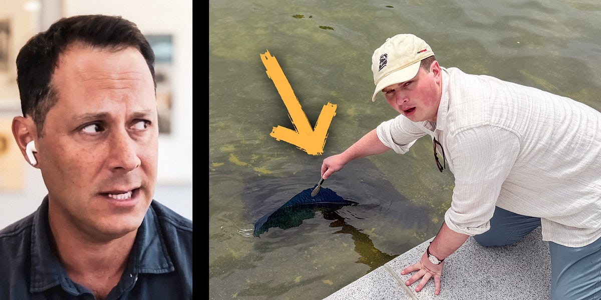 LIVE Reflecting Pool Disaster—Peeling Paint & Green Water