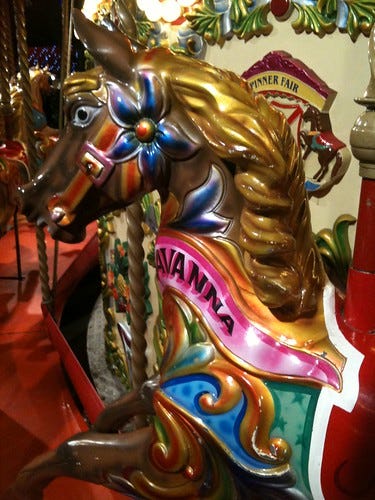 Carousel Merry-go-round Savanna Carousel Merry-go-round Savanna