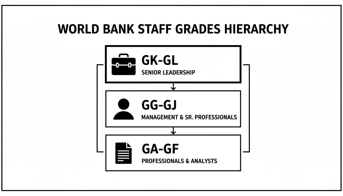 World Bank staff grades hierarchy showing three levels: Senior Leadership, Management, and Professionals.