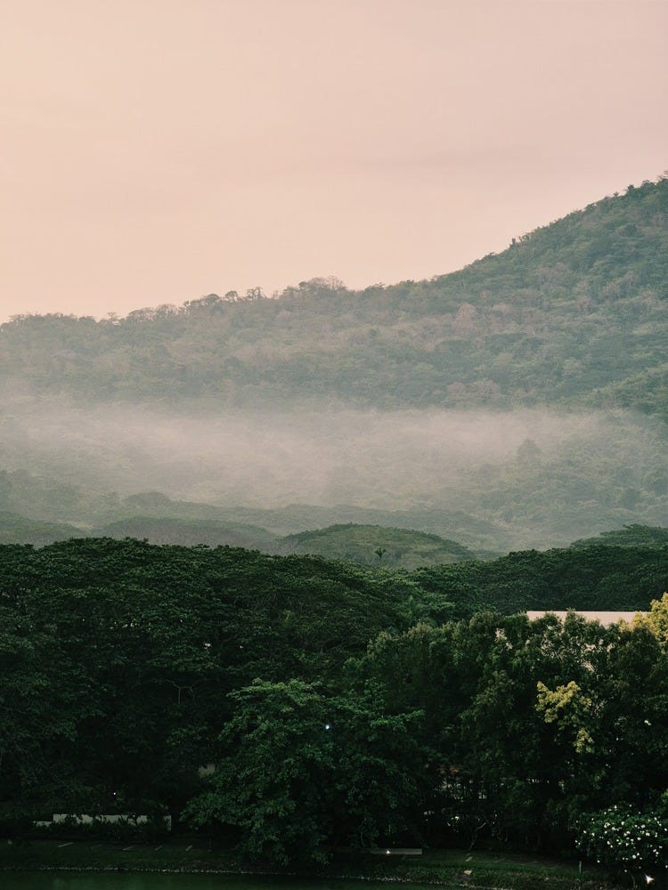 a misty mountain
