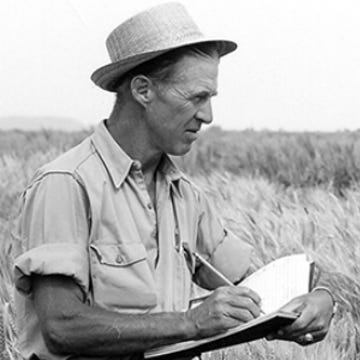 The Borlaug Report