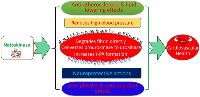 An external file that holds a picture, illustration, etc.
Object name is 10.1177_1177271918785130-fig1.jpg An external file that holds a picture, illustration, etc.
Object name is 10.1177_1177271918785130-fig1.jpg