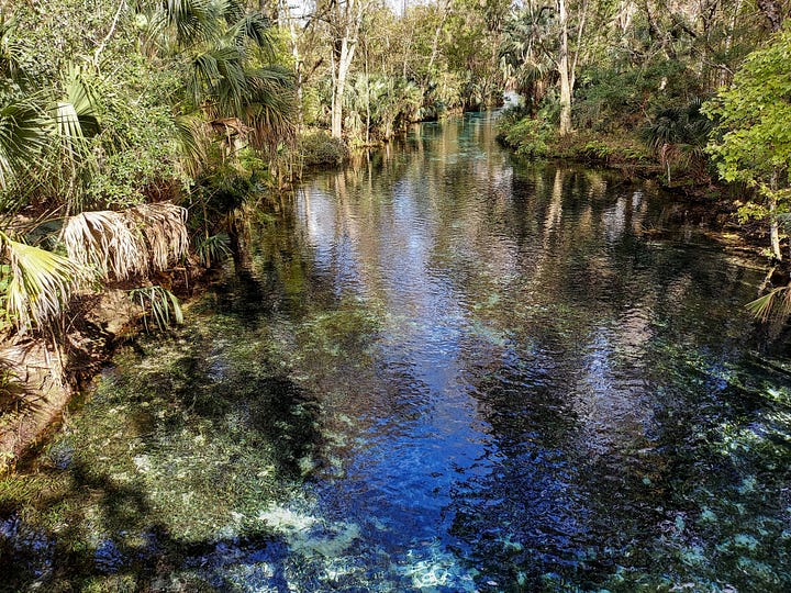 The Silver River from within the park. By Ebyabe CC BY 2.5 commons.wikimedia Public Domain | The Silver Springs glass-bottom boats at the headspring area in 2017 Jackdude101 CC BY-SA 4.0 commons.wikimedia.org Public Domain | Entrance gate for Silver Springs in Ocala Florida, NeilEvans Public Domain commons.wikimedia.org | Silver Springs State Park P. Hughes, CC BY-SA 4.0 creativecommons.org Wikimedia Commons