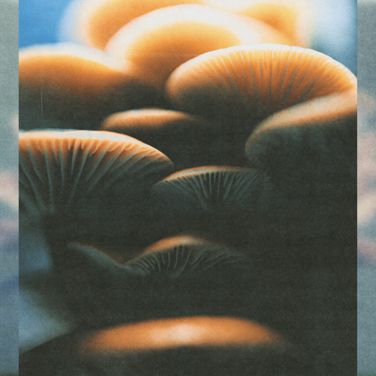 The Darkness Chronicles