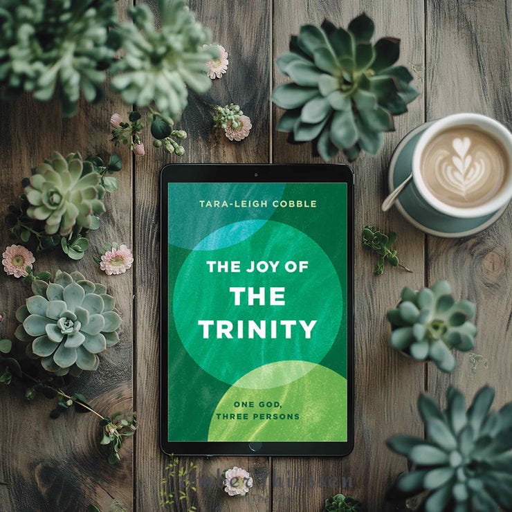 book cover of the joy of the trinity by tara-leigh cobble