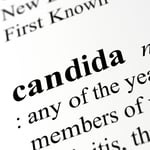 candida_blog candida_blog