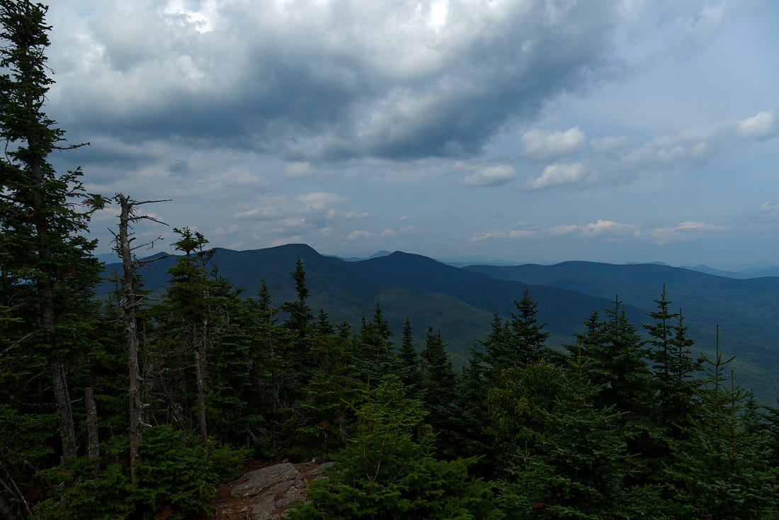 Can You Get Away with Murder in the Woods?