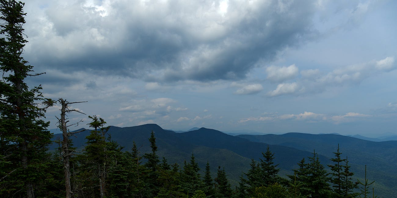 Can You Get Away with Murder in the Woods?