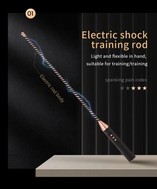 Electric Whip - Electric shocktraining rod (ZW-112) - Image 2