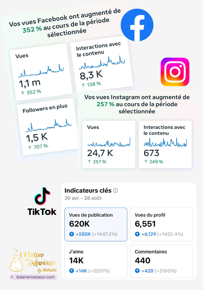 Statistiques réseaux sociaux avec Solène Vasseur