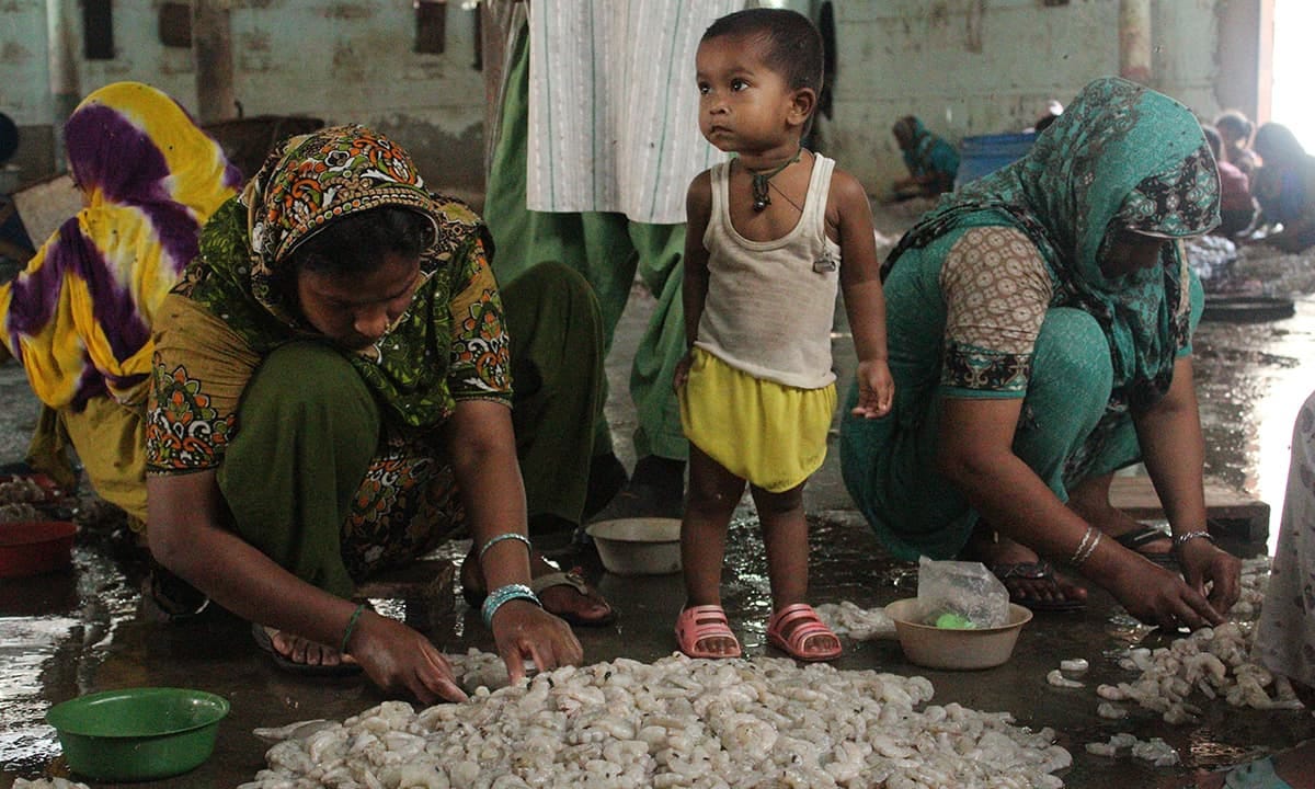 Bengali woman in Machar Colony peeling shrimps | Bilal Karim Mughal