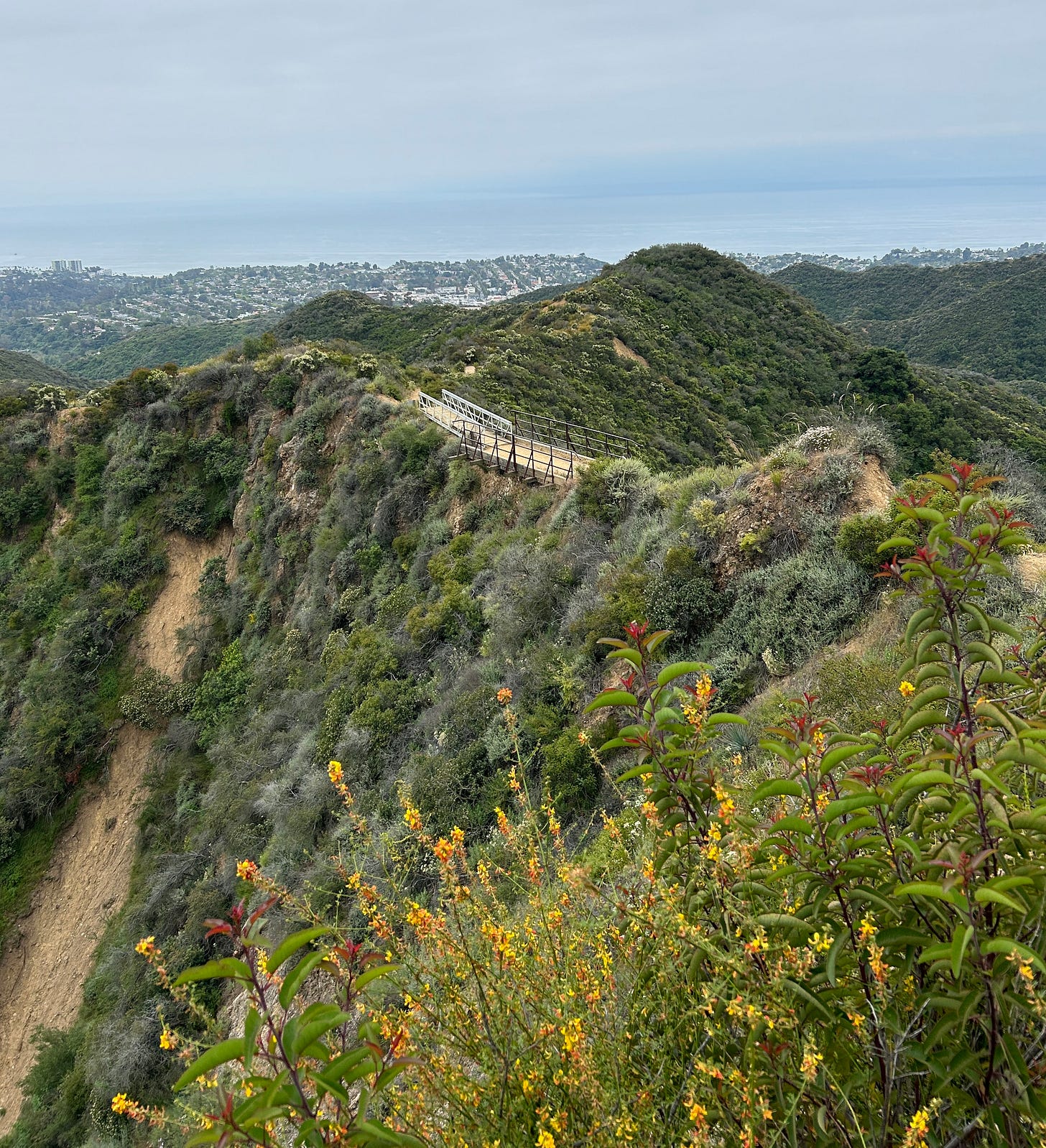 Pacific Palisades