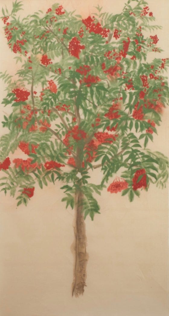 Rowan Tree