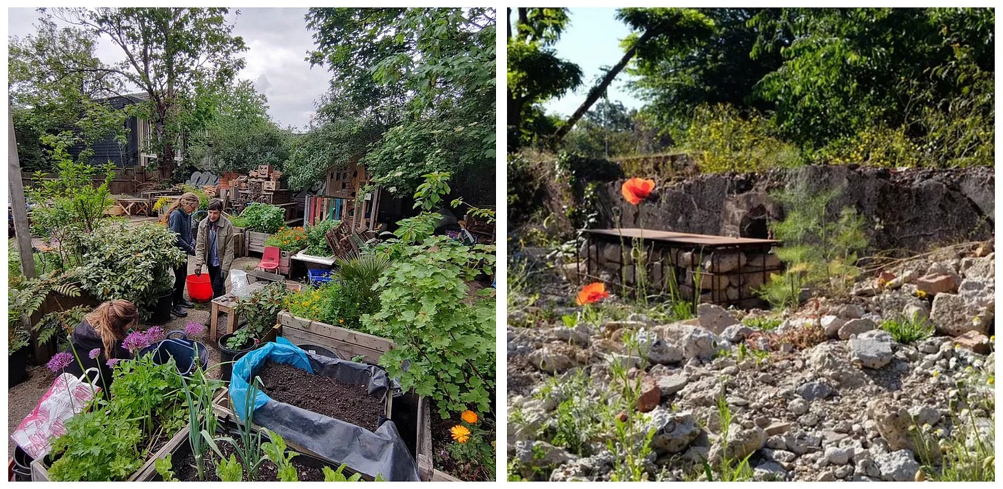 Garden of Earthly Delights community garden on marginal land in East London, and the in-development Markfield Park urban community garden space in North East London. Garden of Earthly Delights community garden on marginal land in East London, and the in-development Markfield Park urban community garden space in North East London.