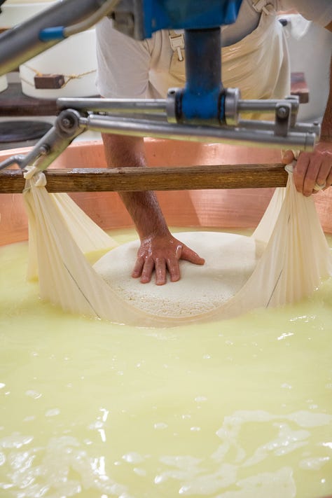 The countryside of Emilia Romagna is where we'll find artisan cheese and wine makers.