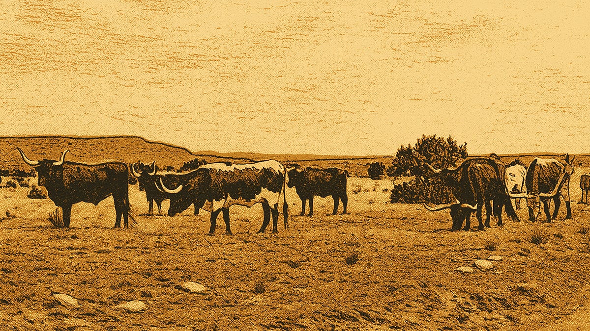 The 1924 New Mexico regional banking panic
