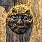 Max Morgan's avatar