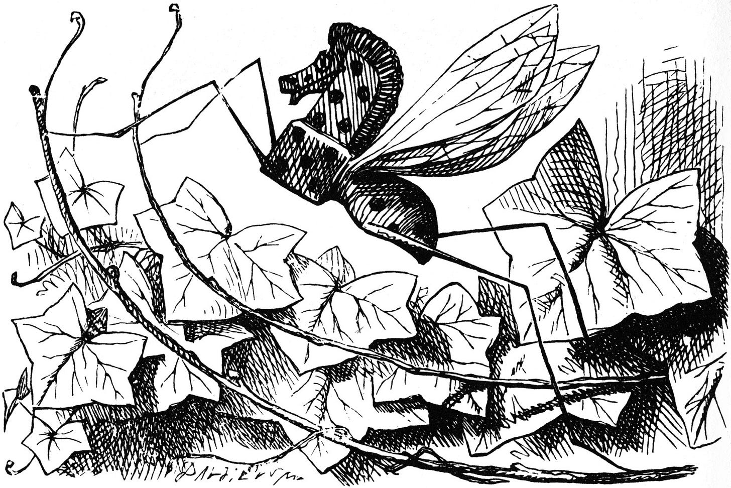 Rocking-Horse-Fly - Alice in Wonderland Wiki