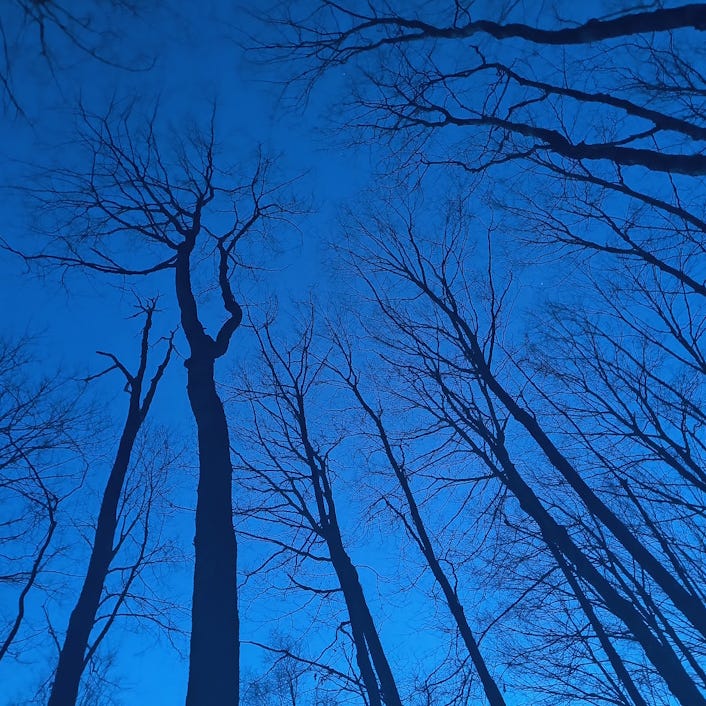 Vermont Robby Porter’s Substack