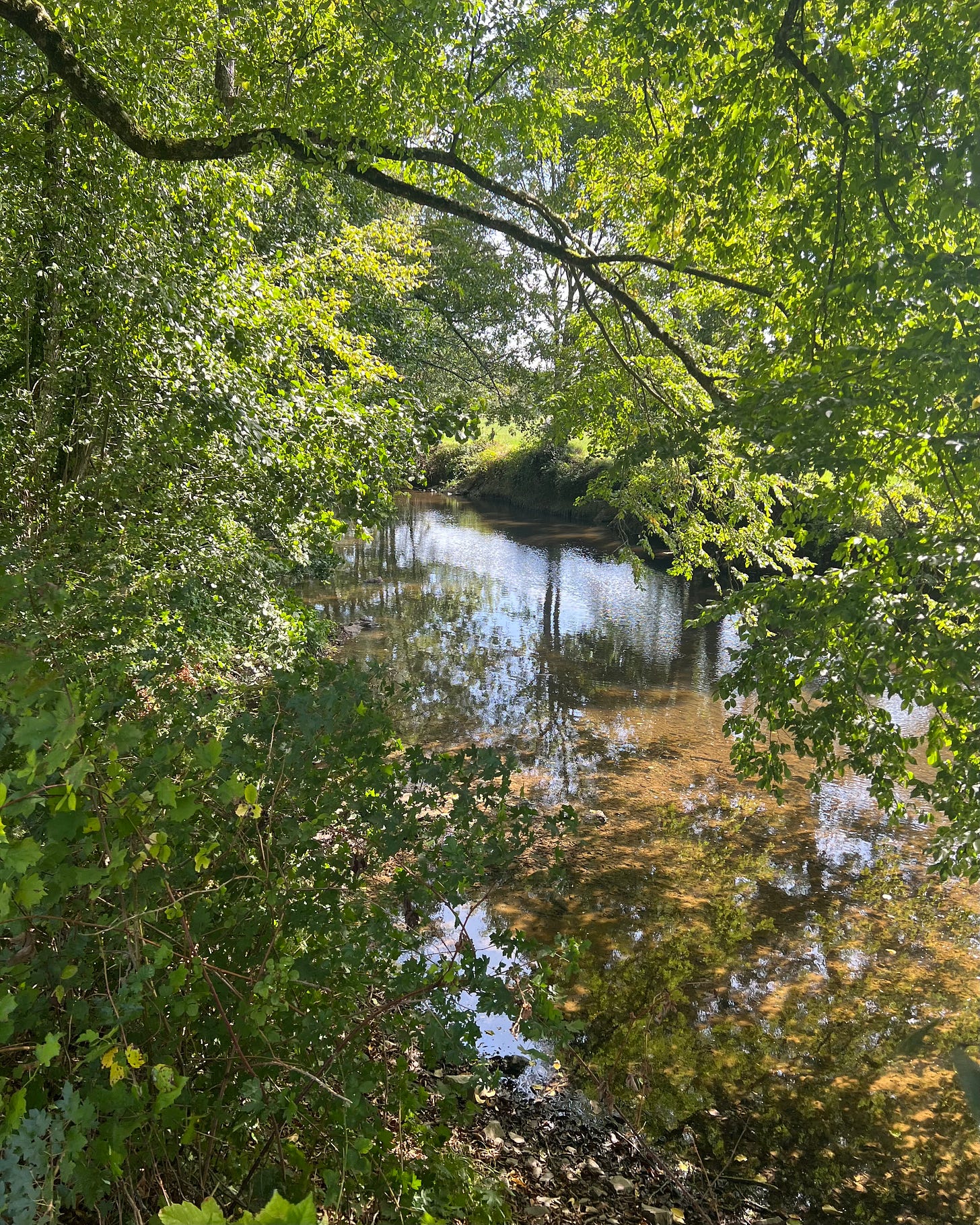 The river bordering the château property, framed by trees in the French countryside The river bordering the château property, framed by trees in the French countryside