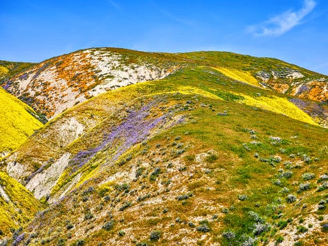 Fields and hills covered in grass and many colors of wildflowers, patched together under semi-clear skies
