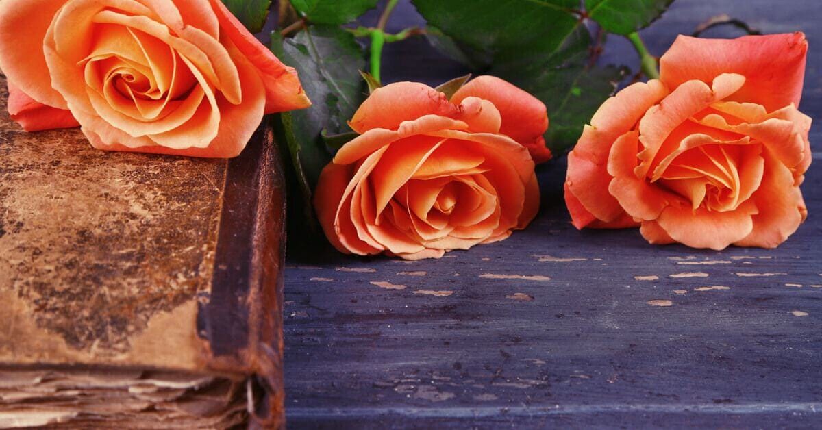 Writing Through Trauma: Discovering magical gardens