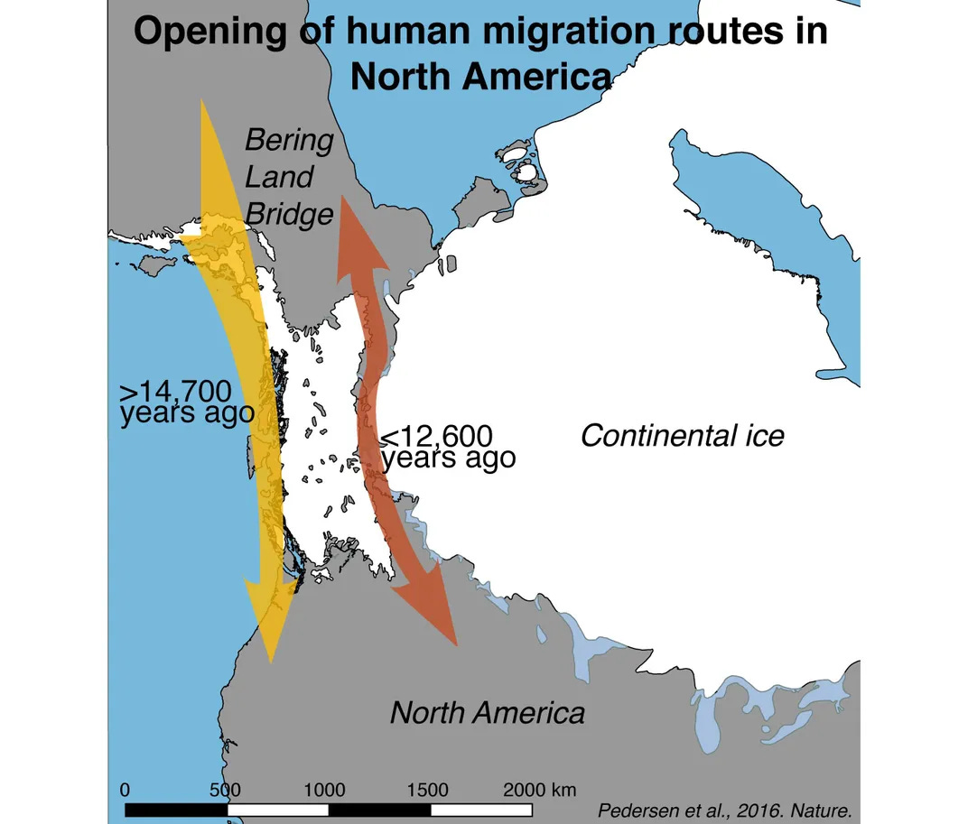 First Humans Entered the Americas Along the Coast, Not Through the Ice