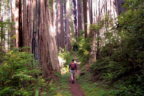 Nature Walks boost immunity - from AllTrails Small sips of the great outdoors - Nature Walks boost immunity