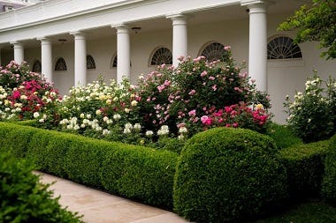 August begins. Lies and TDS continue