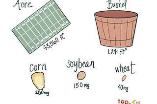 Topsoil | Ariel Patton | Substack