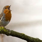 A Beginner's Guide To Slowing Down Time