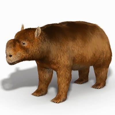 A diprotodon that has been standing like this in its kitchen for three quarters of an hour. A diprotodon that has been standing like this in its kitchen for three quarters of an hour.