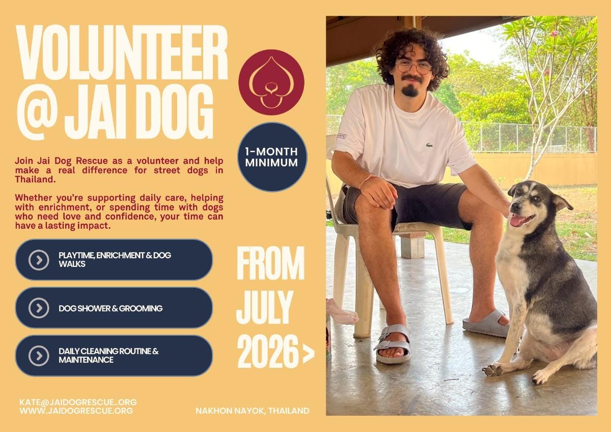 Join Jai Dog Rescue as a volunteer and help make a real difference for street dogs in Thailand Join Jai Dog Rescue as a volunteer and help make a real difference for street dogs in Thailand