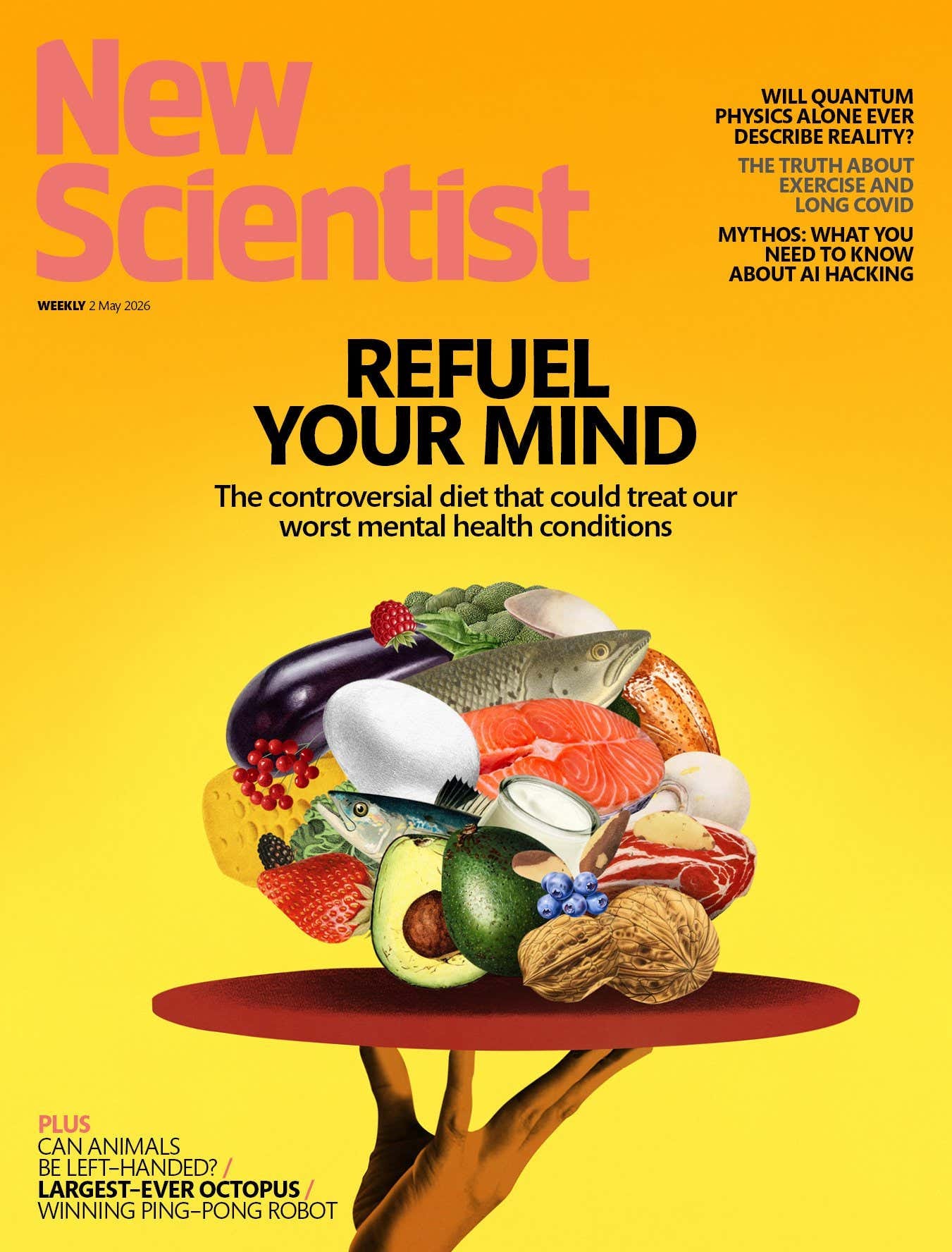 New Scientist issue 3593 cover