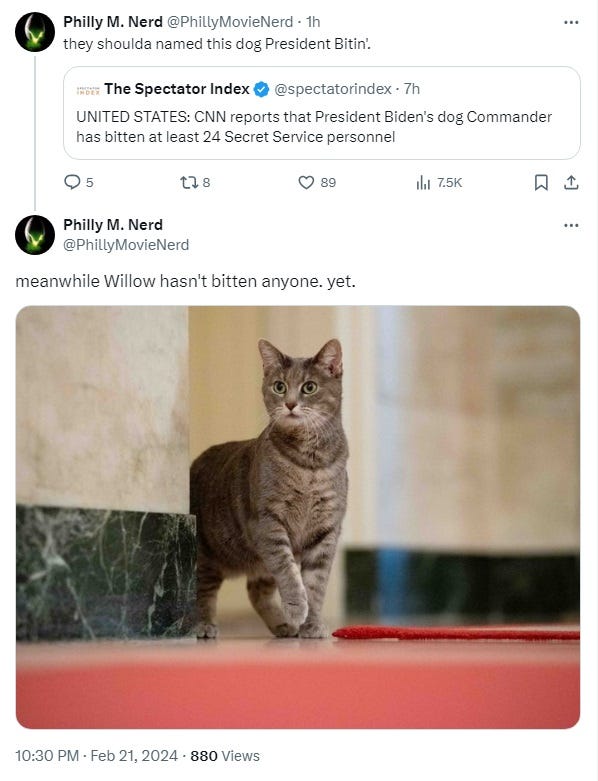 Pair of tweets re Commander's biting problem. 1) they shoulda named this dog President Bitin' 2) 'meanwhile Willow hasn't bitten anyone. yet.' Photo of a lovely grey tabby with big wide-open green eyes. Pair of tweets re Commander's biting problem. 1) they shoulda named this dog President Bitin' 2) 'meanwhile Willow hasn't bitten anyone. yet.' Photo of a lovely grey tabby with big wide-open green eyes.