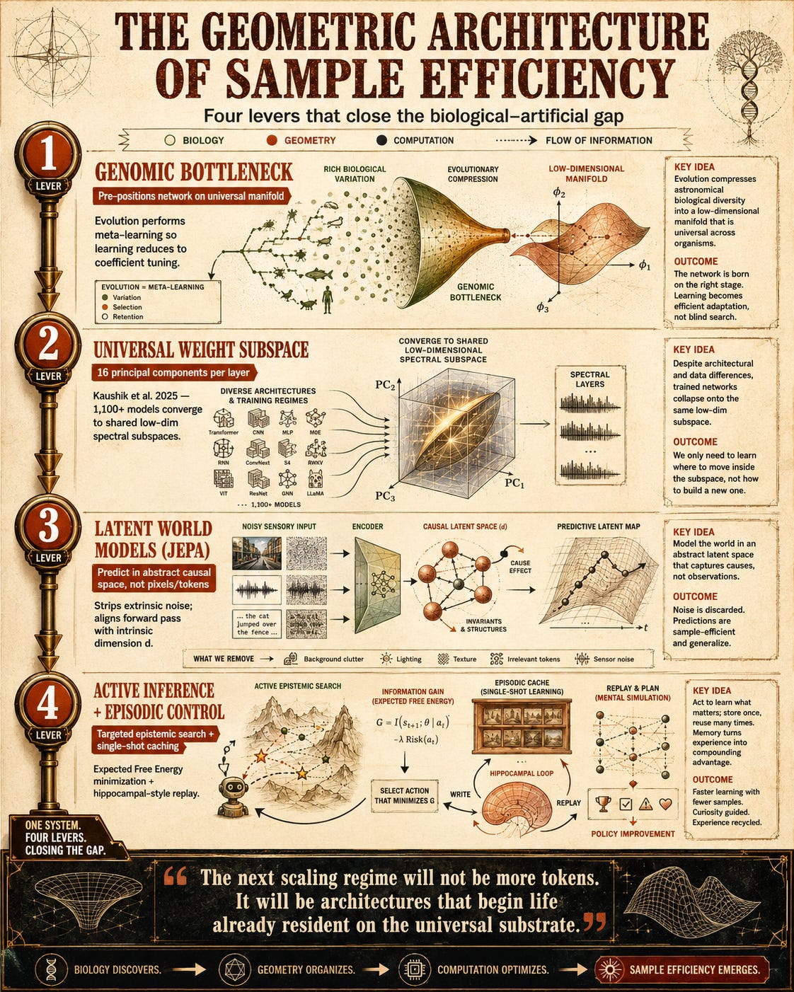 Evolution already solved sample efficiency. We just need to stop fighting the geometry.