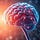 Your Brain and AI
