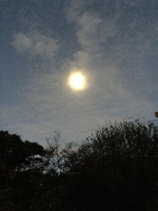 octobermoonatdawn