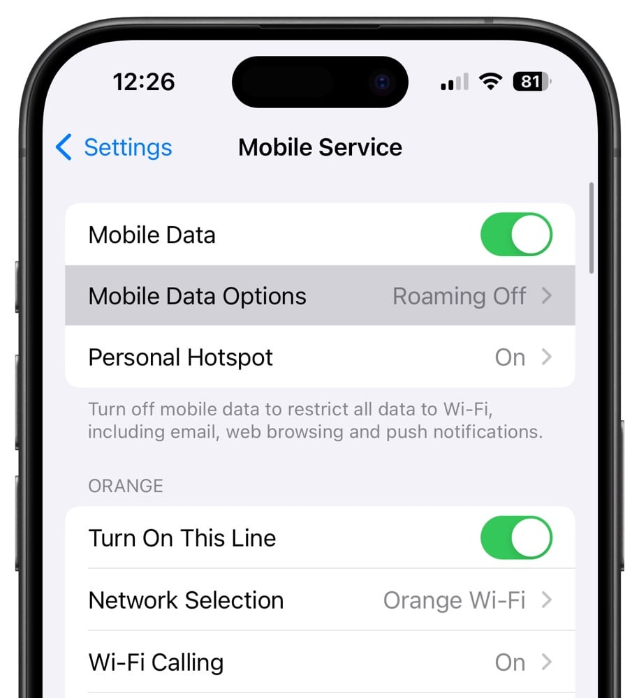 Screen z ustawień danych sieci komórkowej w systemie iOS 17.